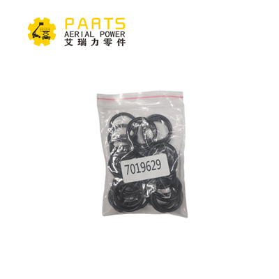 7019629 JLG O-Ring, 30 db 3790116 készlet készlete