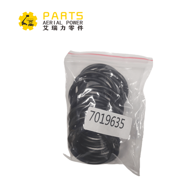 7019635 JLG O-Ring, 15 DCS 3790218 készlet