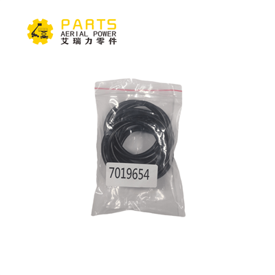 7019654 JLG O-Ring, 15 DCS készlet, 7019616